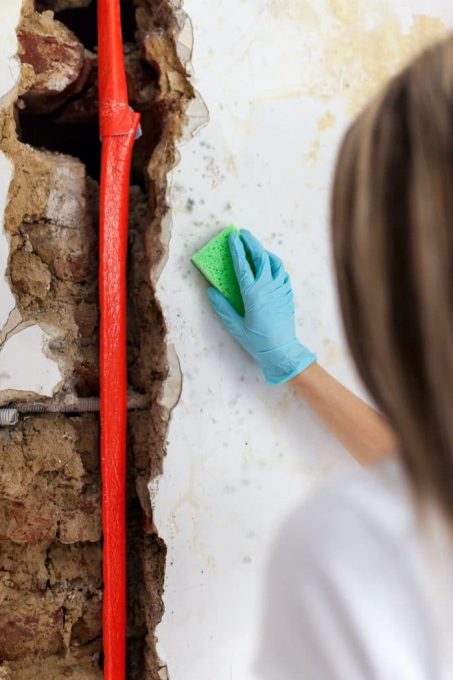 Cleaning up dangerous fungus from a wet wall after water pipe leak at home